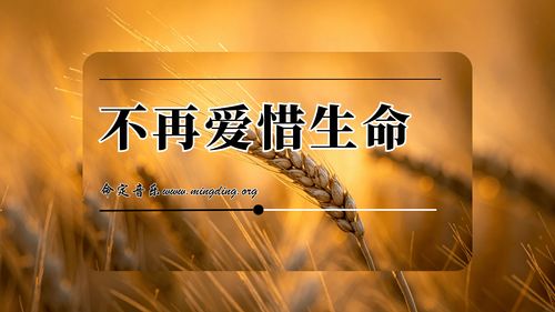 【命定音乐】第201首-《不再爱惜生命》